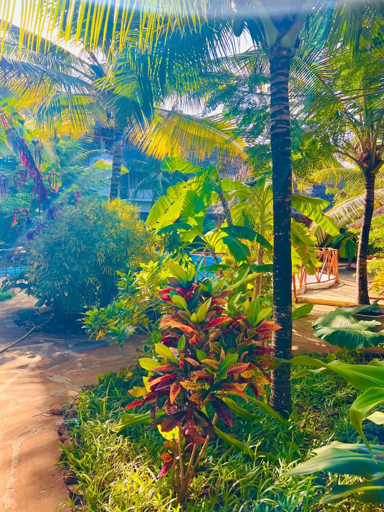 Tropical Nungwi Hotel Екстериор снимка