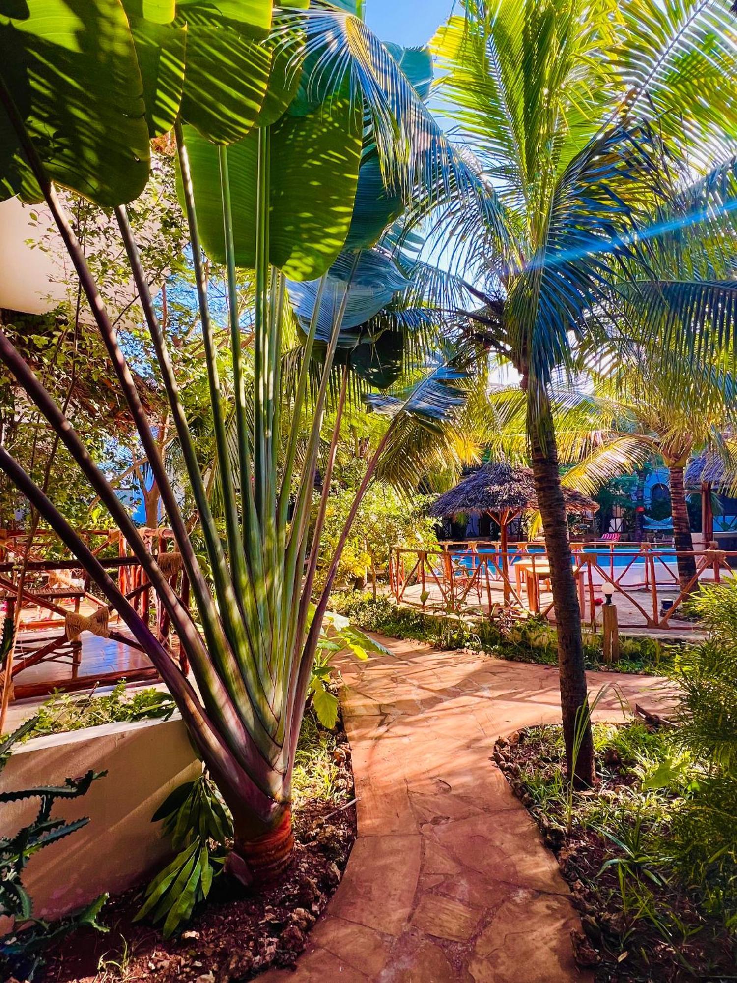 Tropical Nungwi Hotel Екстериор снимка