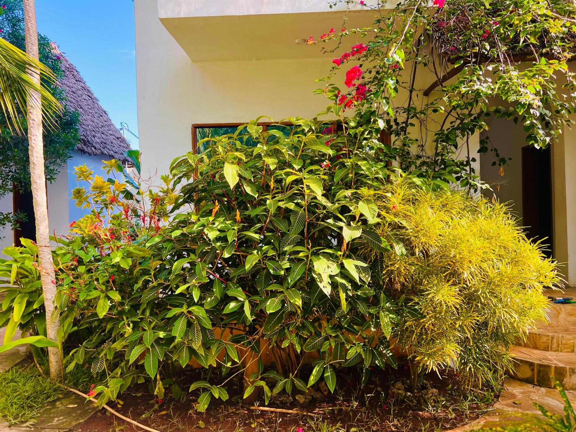 Tropical Nungwi Hotel Екстериор снимка