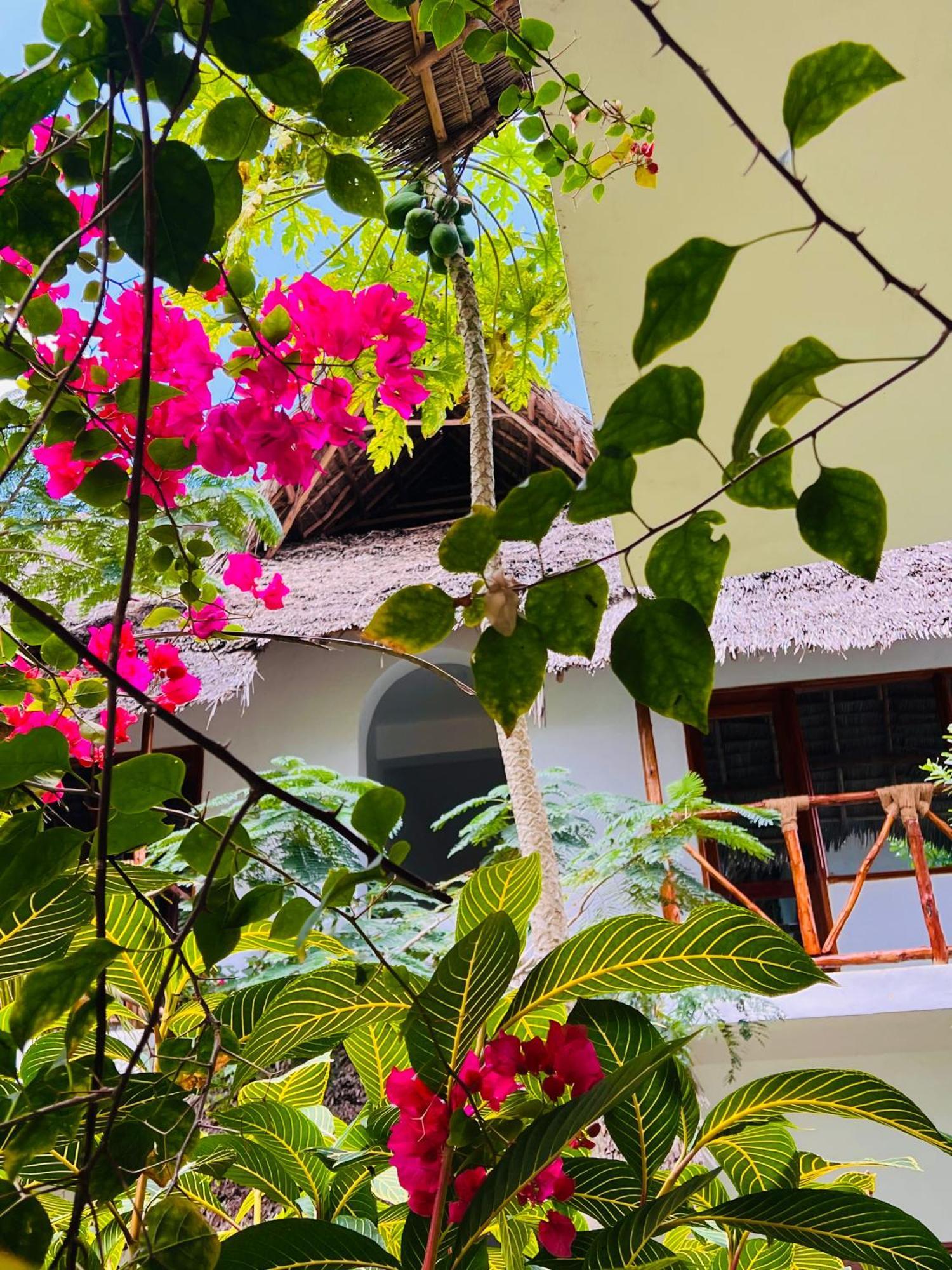 Tropical Nungwi Hotel Екстериор снимка