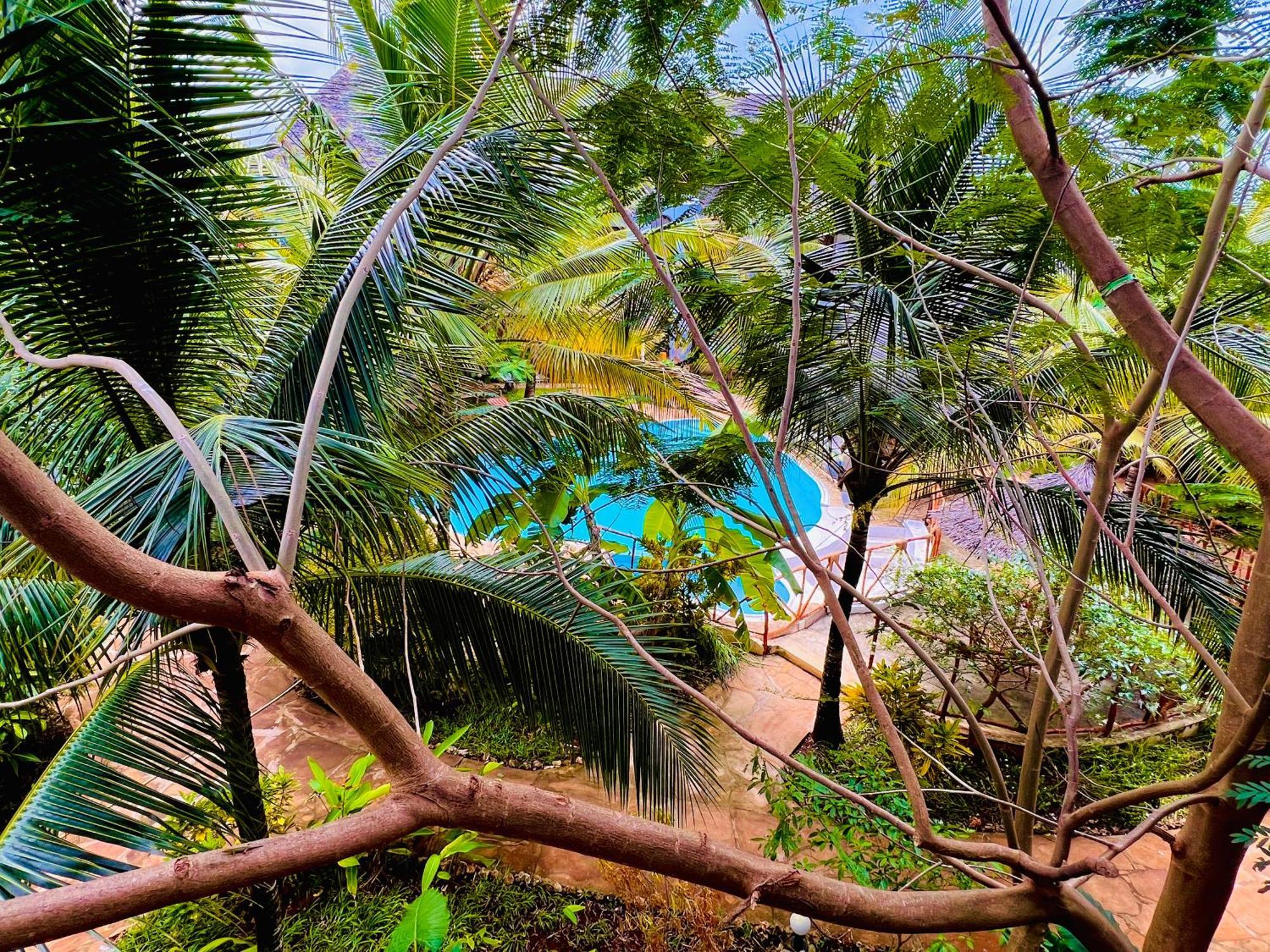 Tropical Nungwi Hotel Екстериор снимка