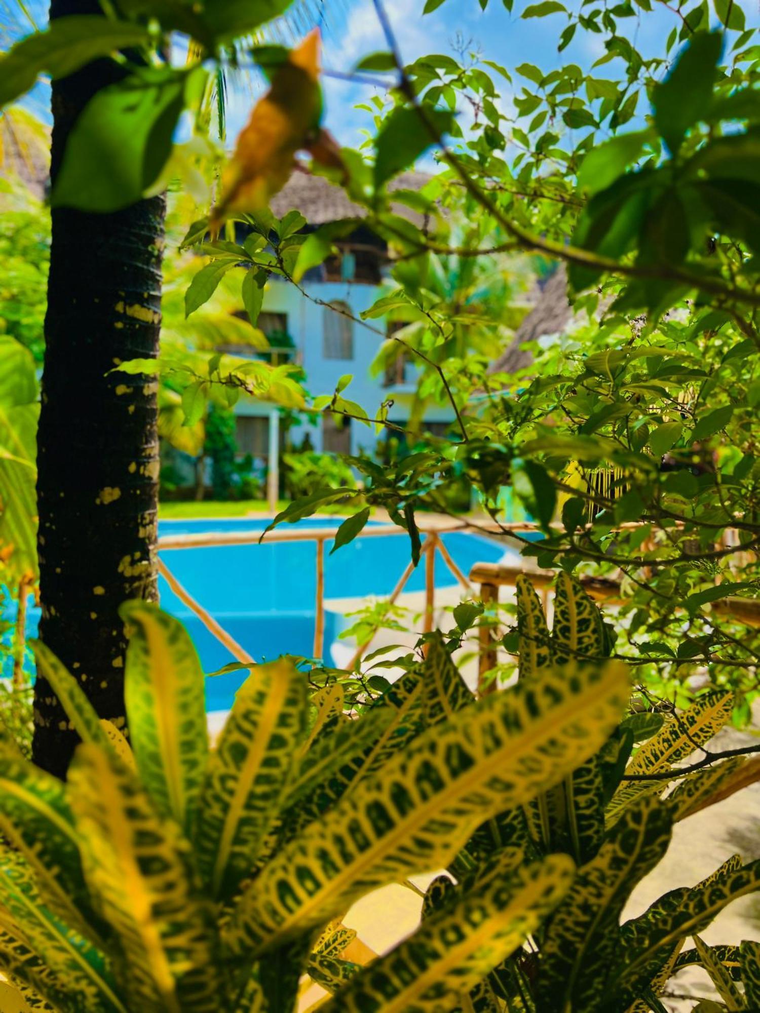 Tropical Nungwi Hotel Екстериор снимка