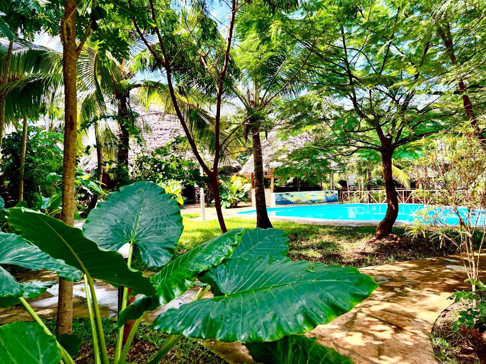 Tropical Nungwi Hotel Екстериор снимка